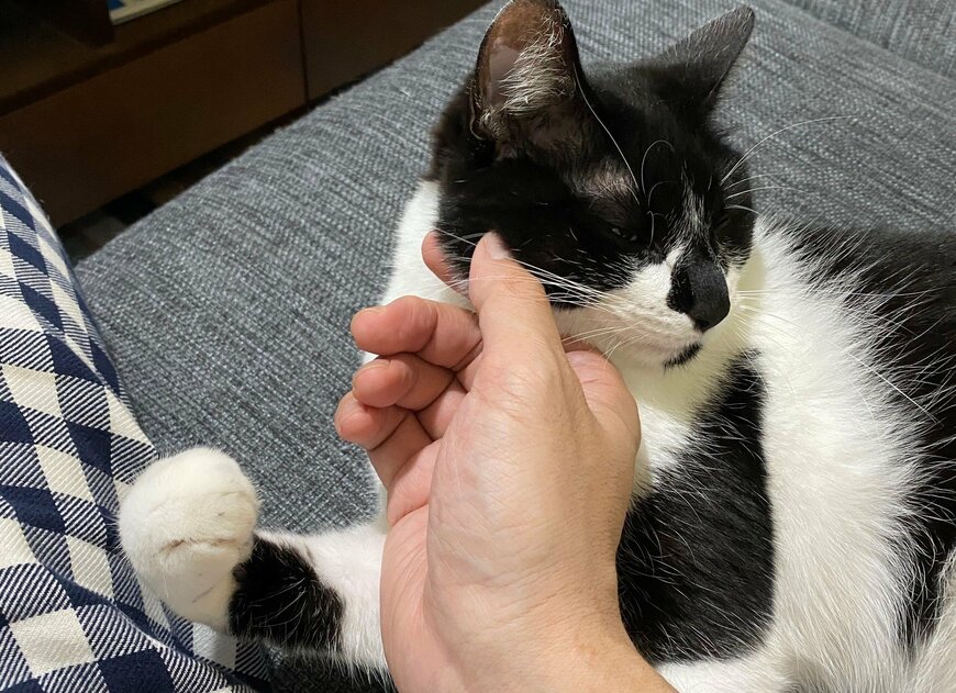 出所：@00shitemita