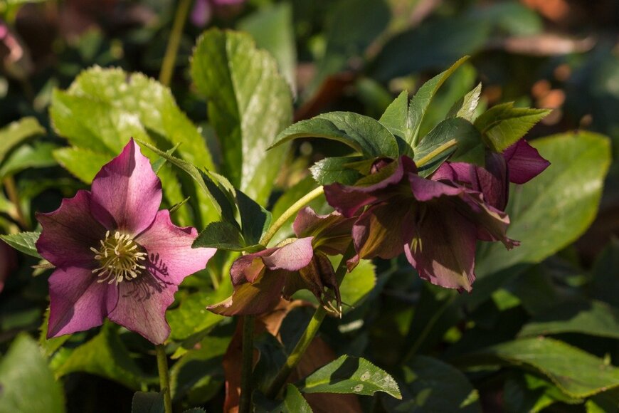 PatrikStedrak/istockphoto.com