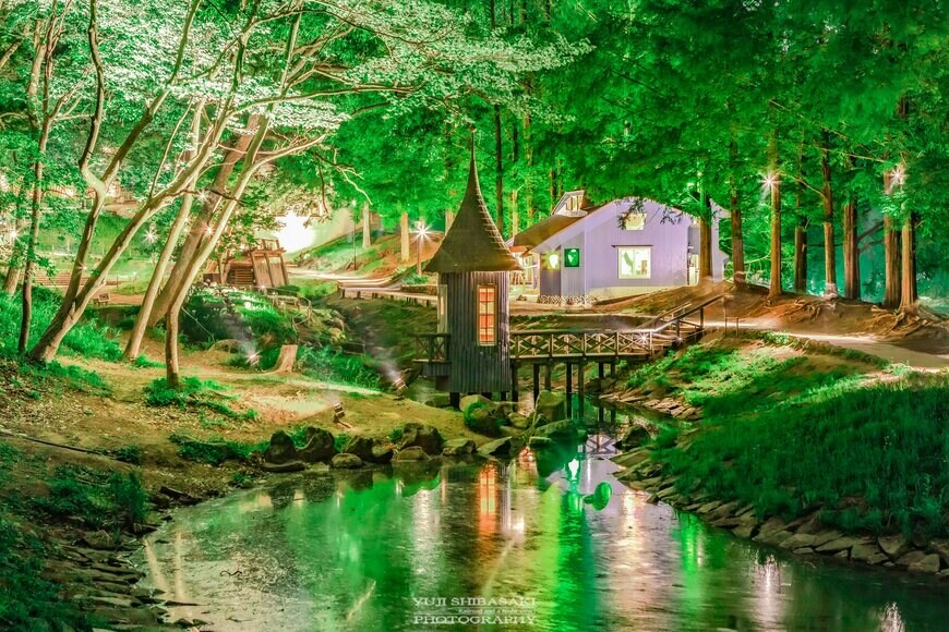 ムーミン谷・夏の写真