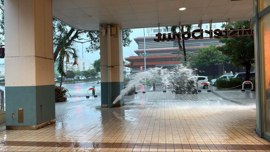 投稿の画像