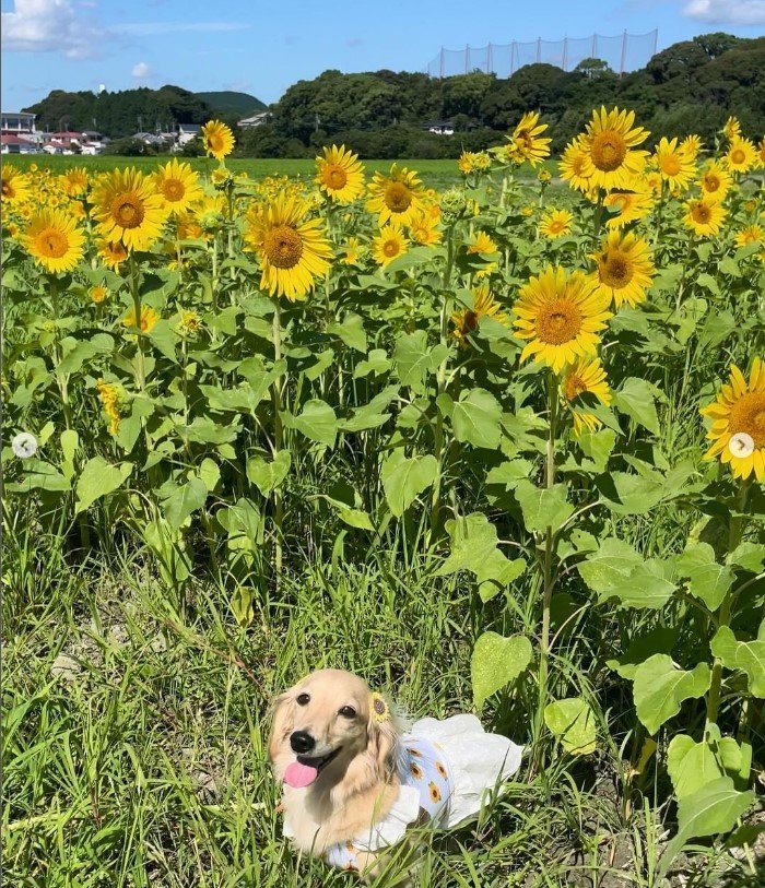 満面の笑みのひまりちゃん