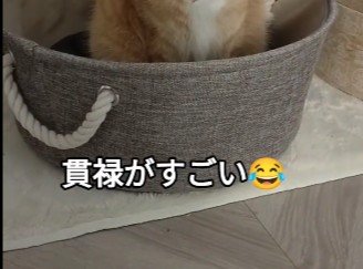 中にいるのは…？