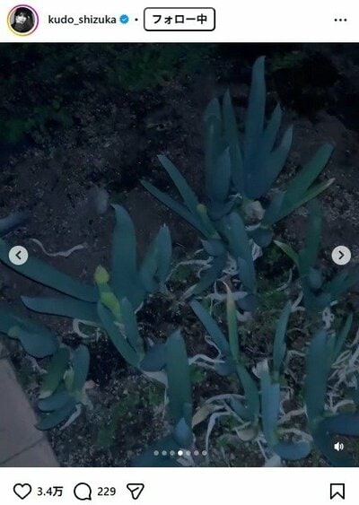 工藤静香のInstagram投稿