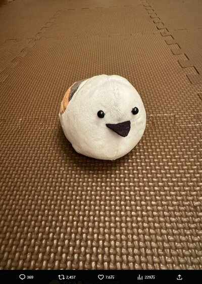 北川景子のX投稿