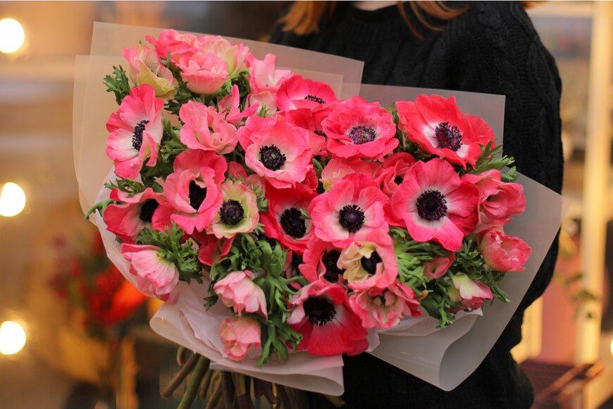 Liudmyla Kulias/Shutterstock.com