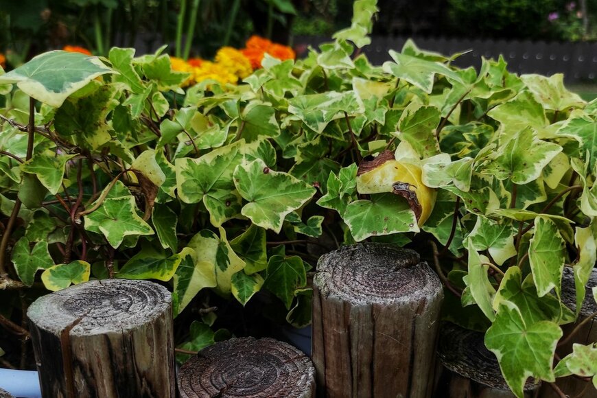 Hanna Yohanna/istockphoto.com