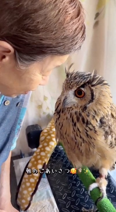 出所：@ba_chantolatte