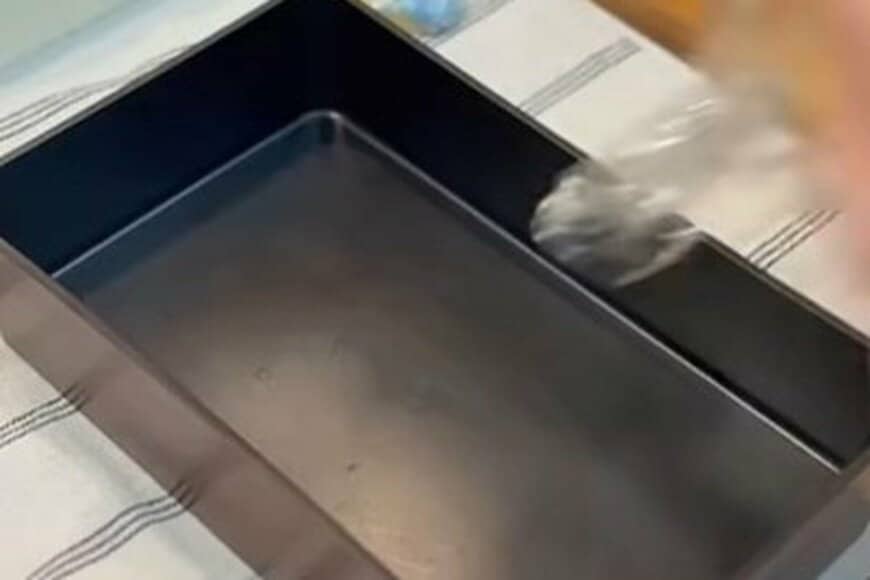 沖縄を表現した「手作り弁当」に思わず目を疑う　かわいい弁当に「センスいい！」「彩り綺麗」