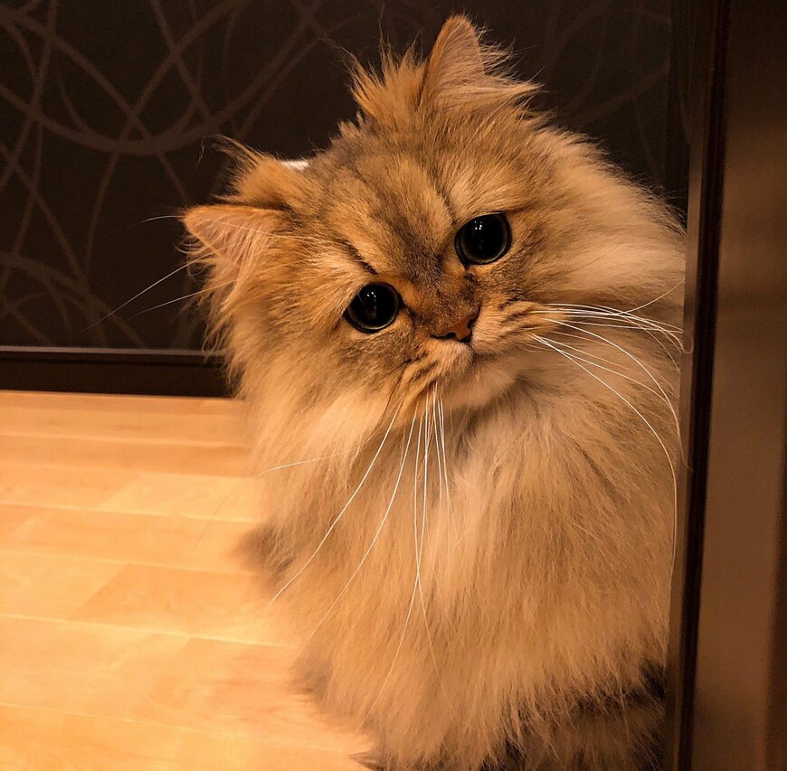 出所：@UphQepCv8J