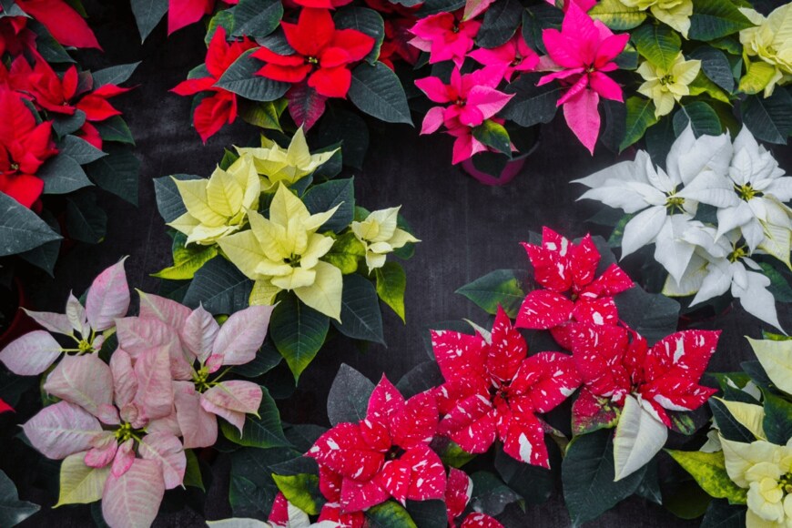 Goroda/istockphoto.com