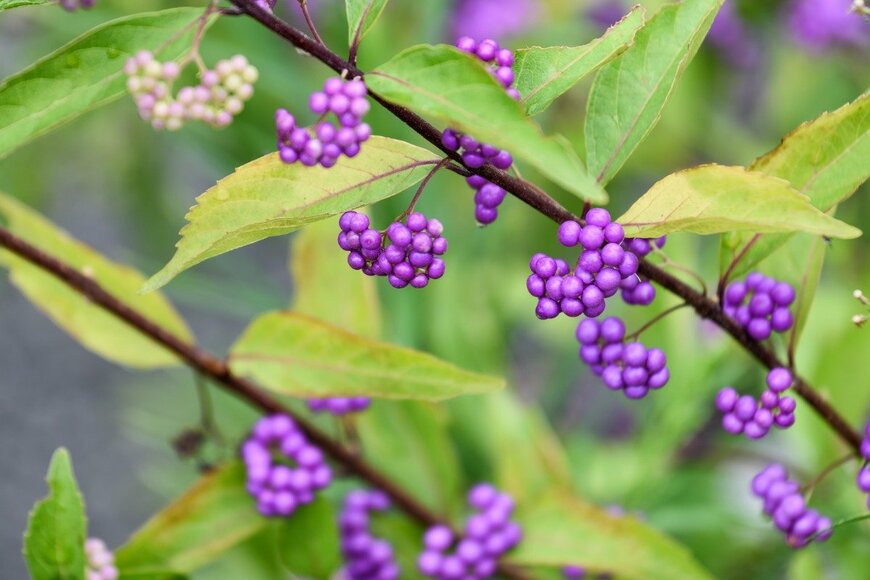 fpdress/istockphoto.com