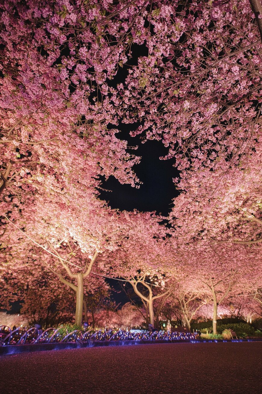 画像出所：@a_yumi0425