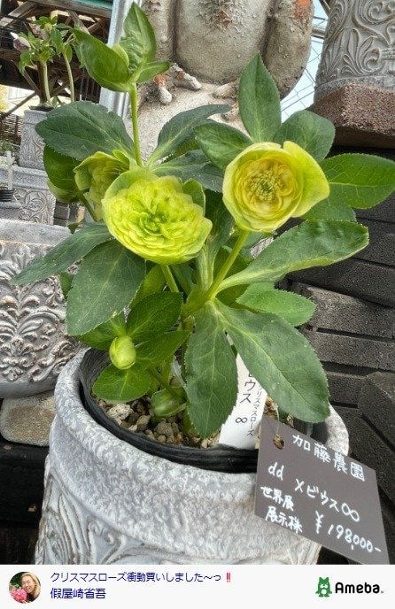 出所：假屋崎省吾の公式ブログ　参照日：2026年3月5日