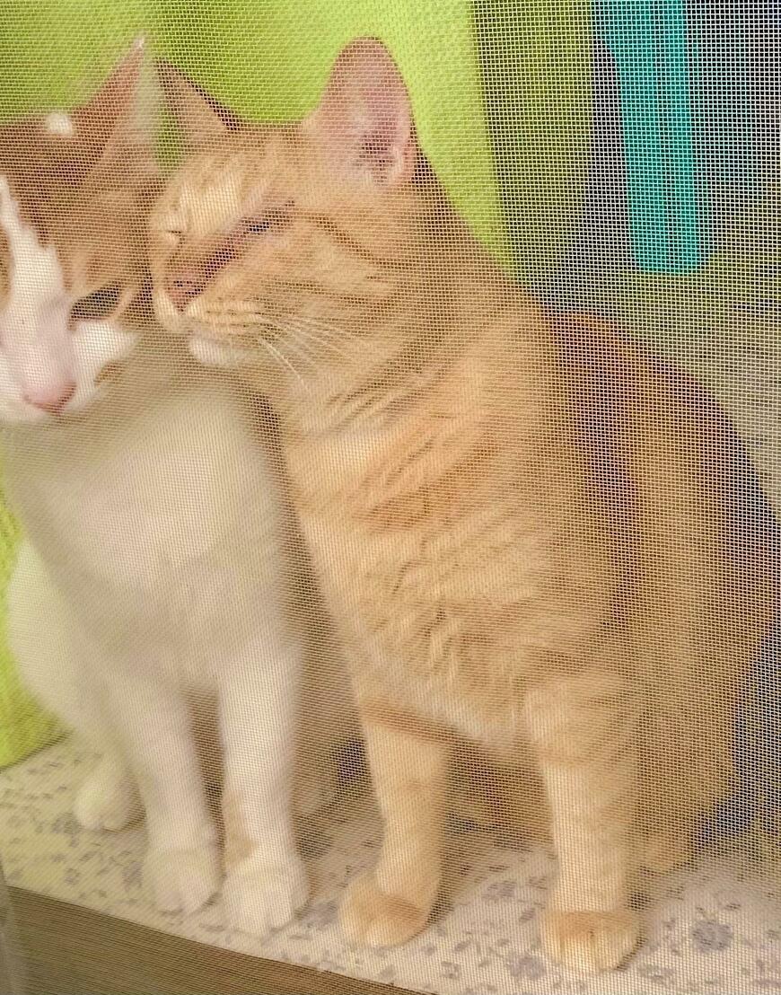 出所：@luna7taka9