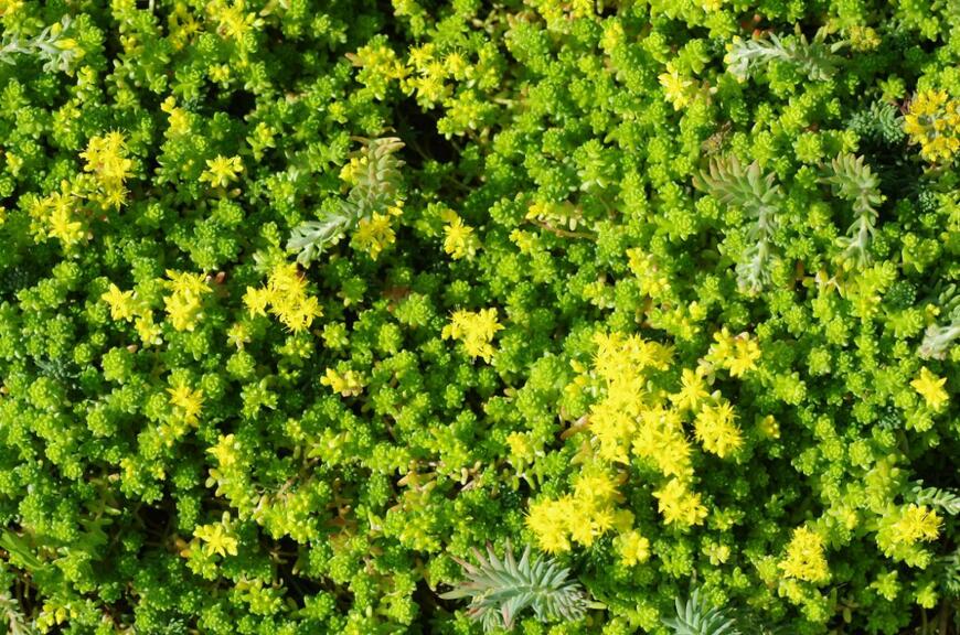 mutsu7211/shutterstock.com