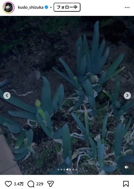 出所：工藤静香のInstagram（＠kudo_shizuka）　参照日：2026年3月9日