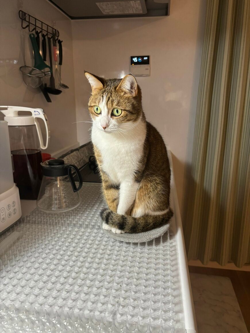 出所：投稿者様ご提供写真