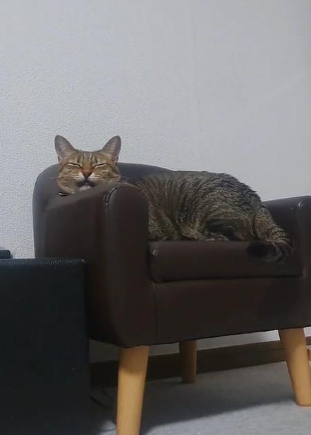 出所：@Mh0MLiErcV8E97C