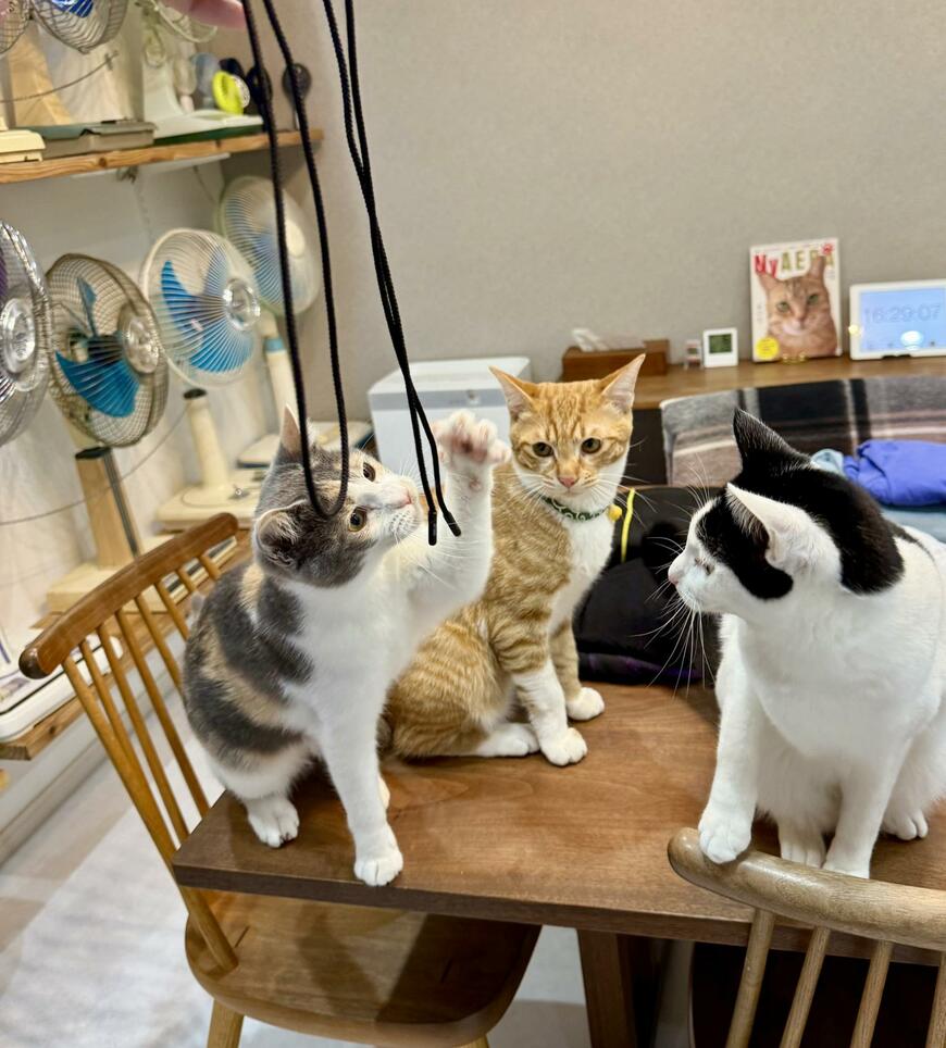 出所：@omochi_nam01