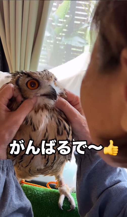 出所：@ba_chantolatte