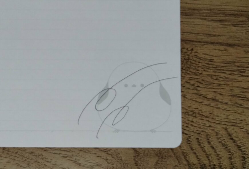 筆者撮影（セリア、B5ルーズリーフ A罫 もふもふばーど 30枚）