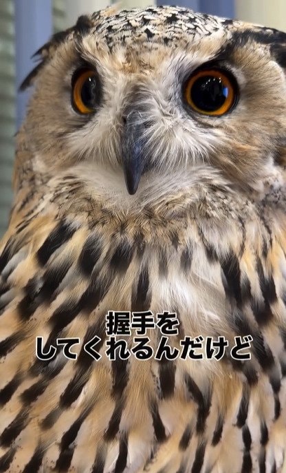 出所：＠yukkodawa