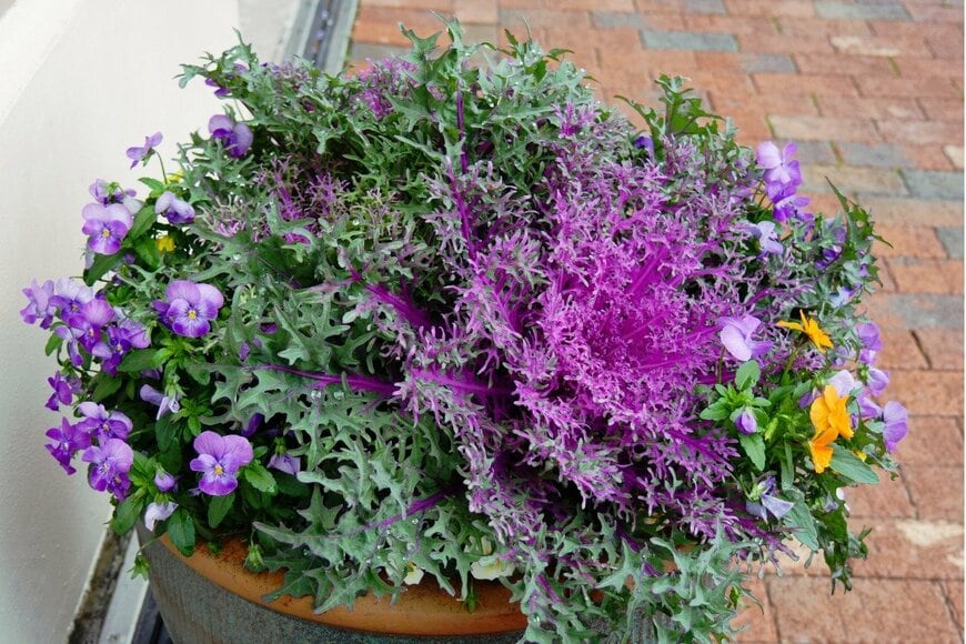 raksyBH/istockphoto.com