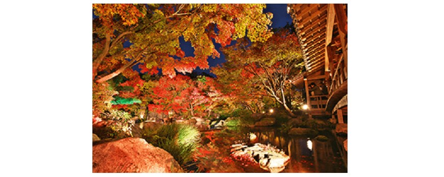 出所：じゃらん「圧巻の絶景紅葉ランキング」