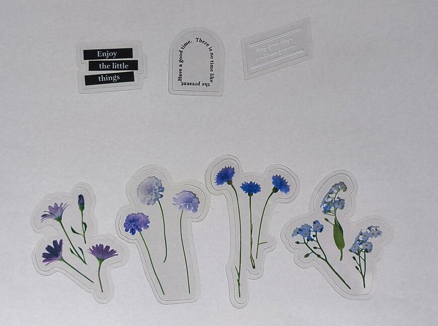 筆者撮影（キャンドゥ、フレークシール25P ペタル）