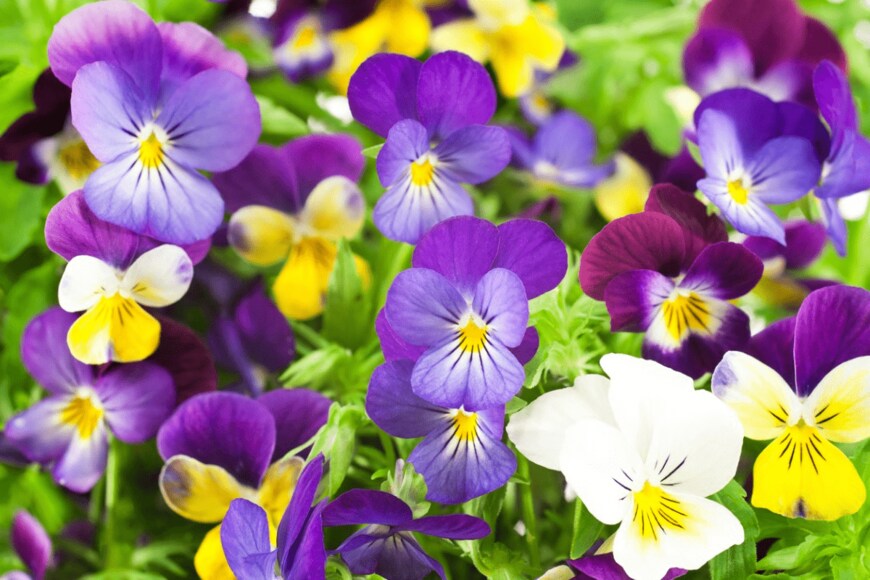 _Vilor/istockphoto.com