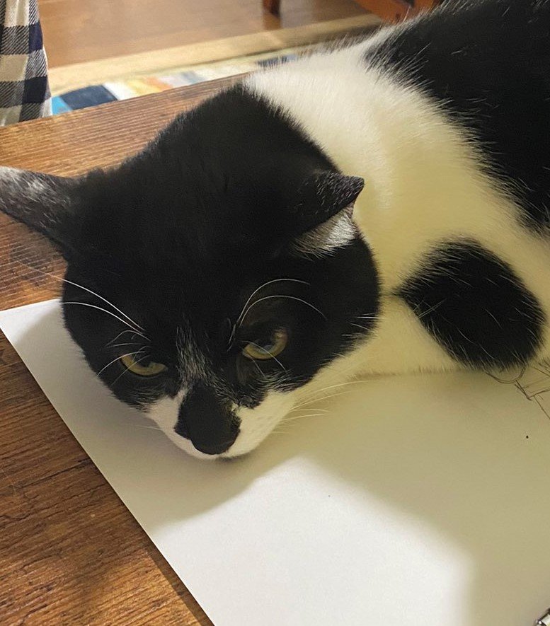 出所：@00shitemita