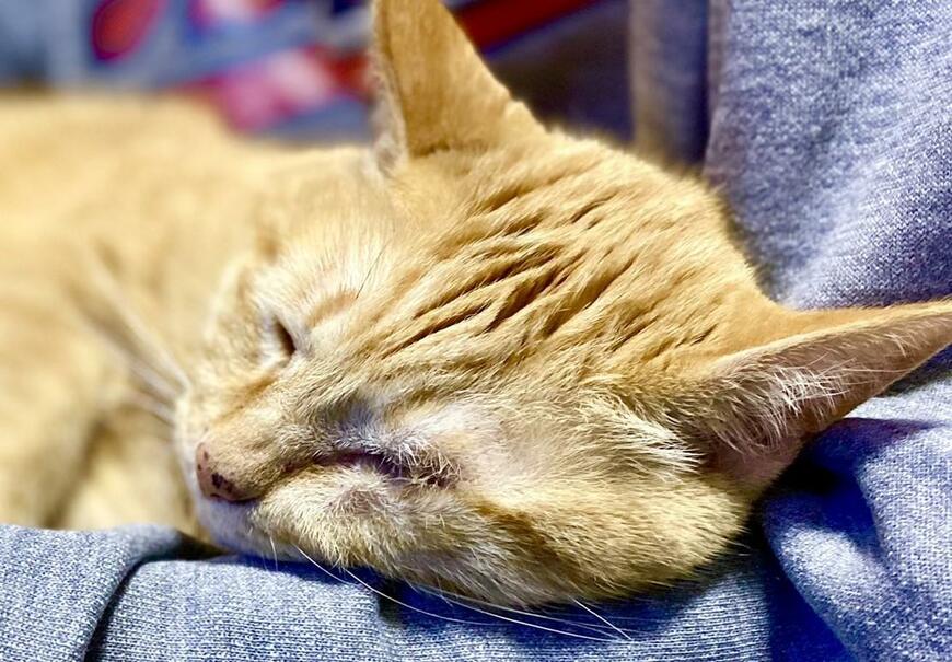 出所：@luna7taka9