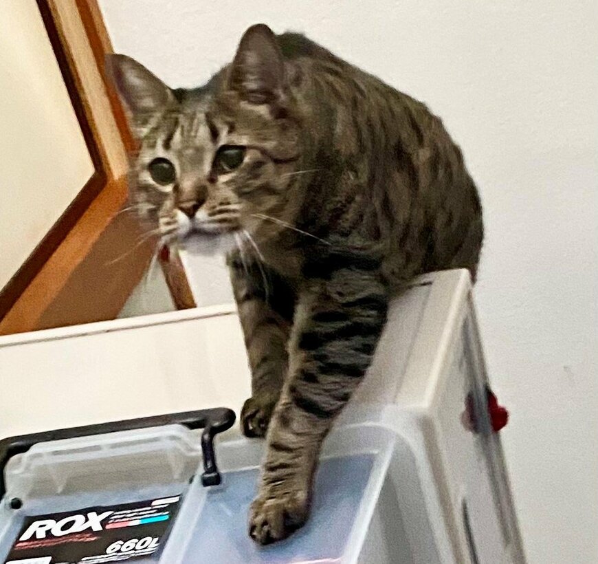 出所：@luna7taka9