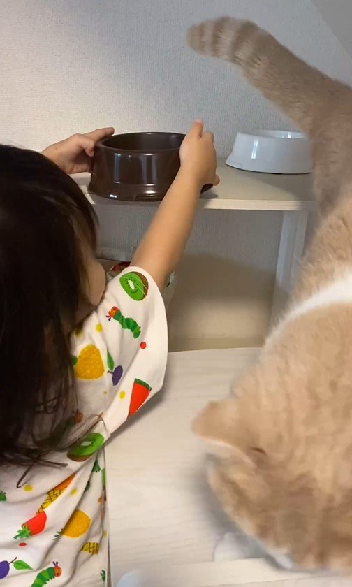 出所：@chanmaro1125