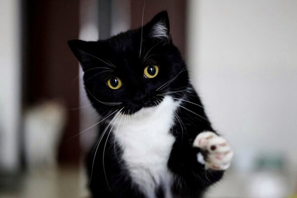 出所：@unicouniuni3