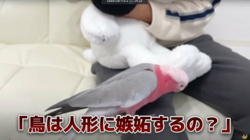 出所：@anz_omomiri