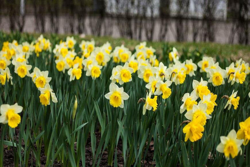 zhuk _ ladybug/.shutterstock.com