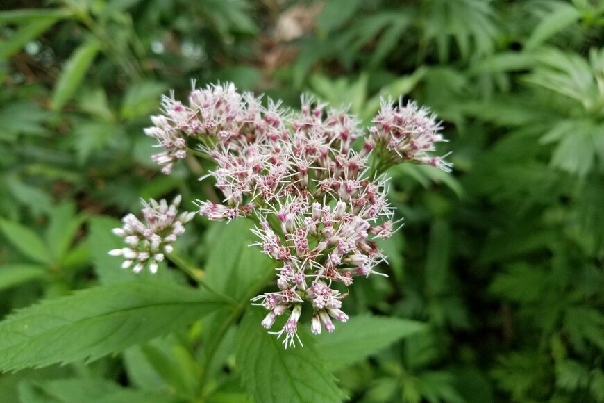 SUN-SOUTH/istockphoto.com