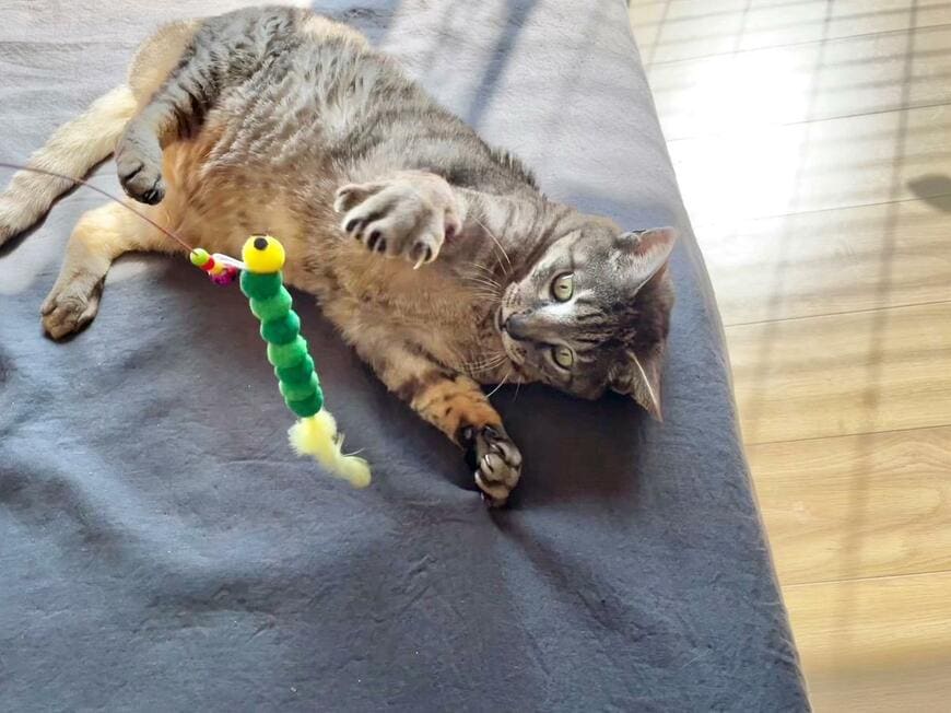 鈴付きワイヤー猫じゃらし いもむし