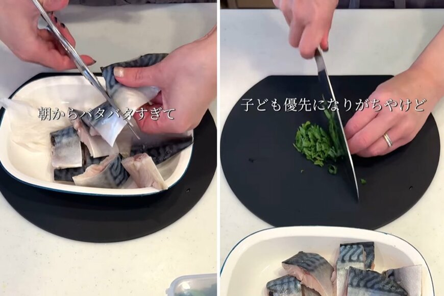 投稿動画のワンシーン
