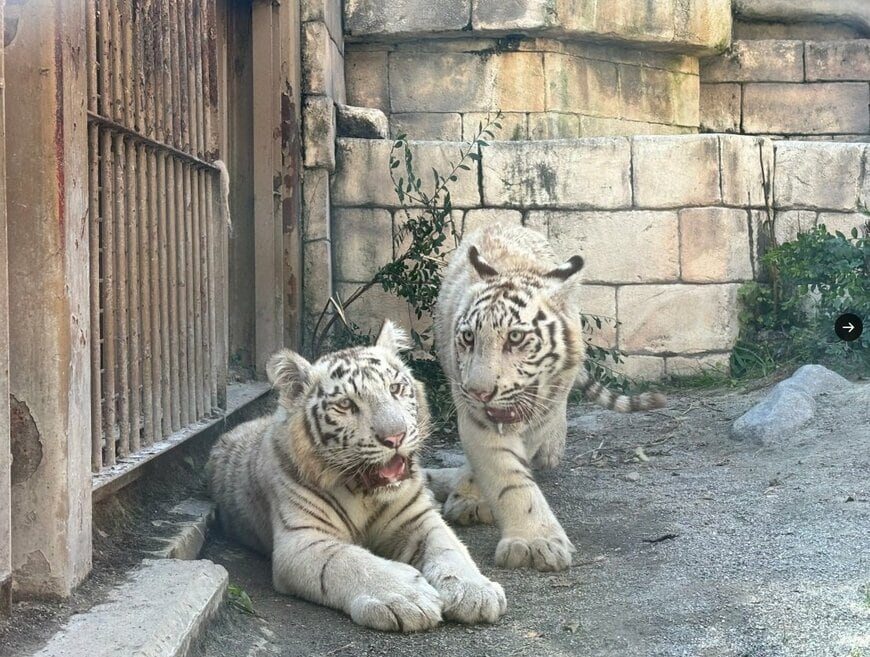 東武動物公園