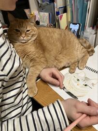 ほかの猫を描いていたら…甘えに来た猫の切ない表情に「ウルッと来ちゃいます」