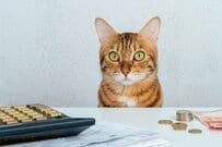 【年齢別】私の年金って少ないの…？「国民年金・厚生年金」平均受給額を一覧表で確認【2024年の年金支給日カレンダー】