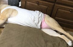 お昼寝してるお父さん…！？ピンクのパンツを履いたワンコにSNS反響