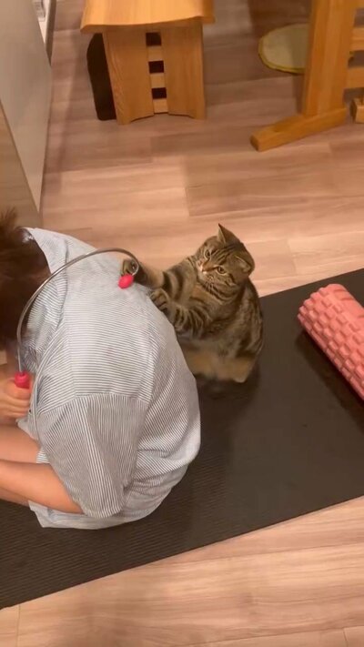 背中に前足をのせるもなかくん
