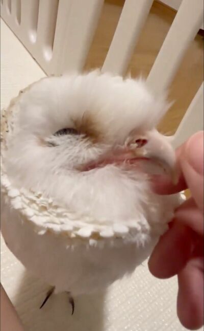 投稿動画のワンシーン