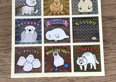 セリア、ホイルスクエアシール クセになる可愛さ 48片