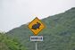鹿児島県・徳之島で見つけた「注意看板」　人ではなく「ウサギ」への注意喚起に笑ってしまう
