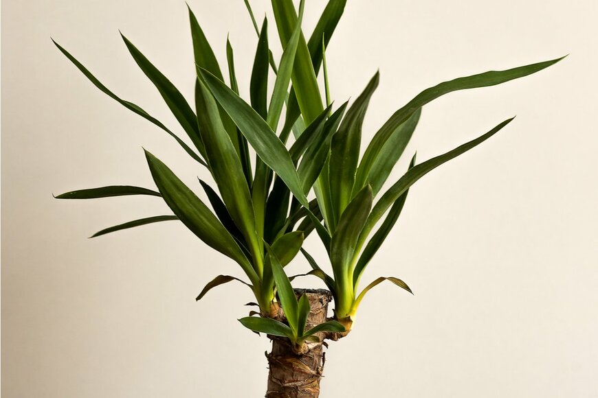 WR7/shutterstock.com