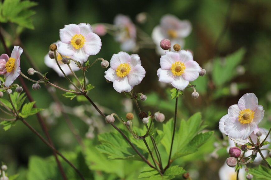 Kabar/shutterstock.com